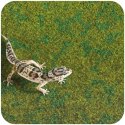 Resun Tropical Carpet Mat - mata do terrarium 90x45cm Repti-Zoo
