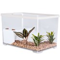 Sunsun Turtle Water Box M - akwarium dla żółwia z wyspą i filtrem SunSun