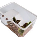 Sunsun Turtle Water Box M - akwarium dla żółwia z wyspą i filtrem SunSun