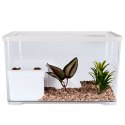 Sunsun Turtle Water Box M - akwarium dla żółwia z wyspą i filtrem SunSun