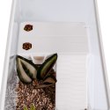 Sunsun Turtle Water Box M - akwarium dla żółwia z wyspą i filtrem SunSun