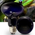 Super Reptile Black Moonlight 50W Super reptile