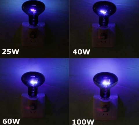 Super Reptile Black Moonlight 50W Super reptile Super Reptile Black Moonlight 50W Super reptile