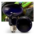 Super Reptile Black Moonlight 75W - żarówka grzewcza Super reptile
