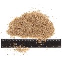 Terrario Endau Park Soil Small 5l - wermikulit drobny Terrario