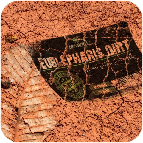 Terrario Eublepharis Dirt 1 kg - podłoże dla gekona lamparciego Terrario Terrario Eublepharis Dirt 1 kg - podłoże dla gekona lamparciego Terrario