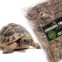 Terrario Eversong Fibre Classic 5l - włókno słomy konopnej Terrario