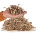 Terrario Eversong Fibre Mix 5l - mieszanka z słomy konopnej Terrario