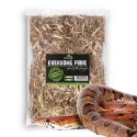 Terrario Eversong Fibre Mix 5l - mieszanka z słomy konopnej Terrario