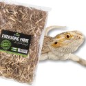 Terrario Eversong Fibre Mix 5l - mieszanka z słomy konopnej Terrario