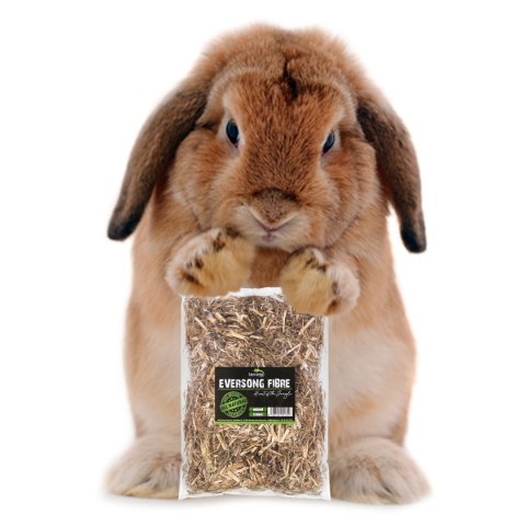 Terrario Eversong Fibre Mix 5l - mieszanka z słomy konopnej Terrario Terrario Eversong Fibre Mix 5l - mieszanka z słomy konopnej Terrario