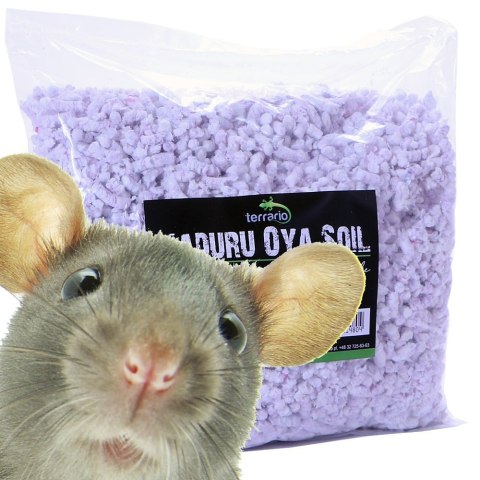 Terrario Maduru Oya Soil 5l - celuloza z srebrem antybakteryjnym Terrario Terrario Maduru Oya Soil 5l - celuloza z srebrem antybakteryjnym Terrario