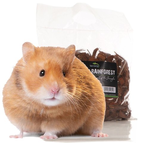 Terrario Mae Moei Rainforest 5l 450g - duże zrębki kokosa Terrario Terrario Mae Moei Rainforest 5l 450g - duże zrębki kokosa Terrario