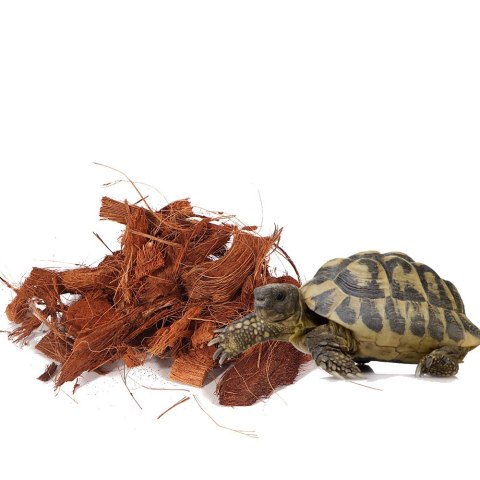 Terrario Mae Moei Rainforest 5l 450g - duże zrębki kokosa Terrario Terrario Mae Moei Rainforest 5l 450g - duże zrębki kokosa Terrario