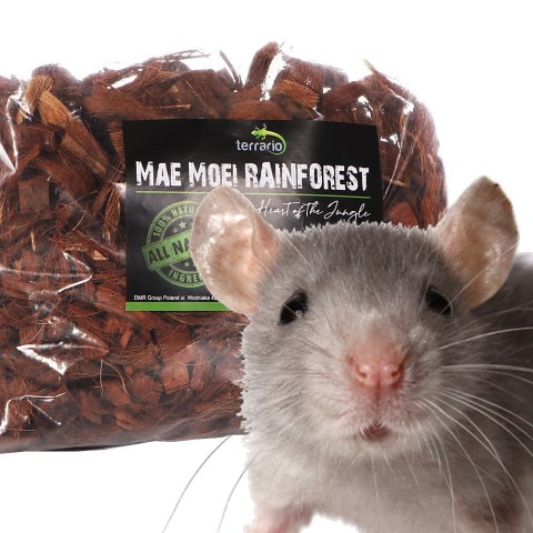 Terrario Mae Moei Rainforest 5l 450g - duże zrębki kokosa Terrario Terrario Mae Moei Rainforest 5l 450g - duże zrębki kokosa Terrario
