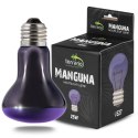 Terrario Manguna Moonlight Lamp - żarówka nocna 25W Terrario