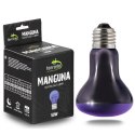 Terrario Manguna Moonlight Lamp - żarówka nocna 50W Terrario