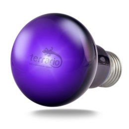 Terrario Manguna Moonlight Lamp - żarówka nocna 50W Terrario