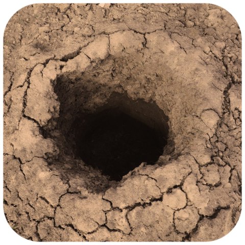 Terrario Monument Mud 1kg - mieszanka z gliną Terrario Terrario Monument Mud 1kg - mieszanka z gliną Terrario