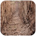 Terrario Monument Mud 1kg - mieszanka z gliną Terrario