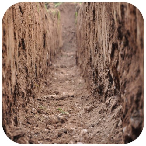 Terrario Monument Mud 1kg - mieszanka z gliną Terrario Terrario Monument Mud 1kg - mieszanka z gliną Terrario