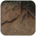 Terrario Monument Mud 1kg - mieszanka z gliną Terrario