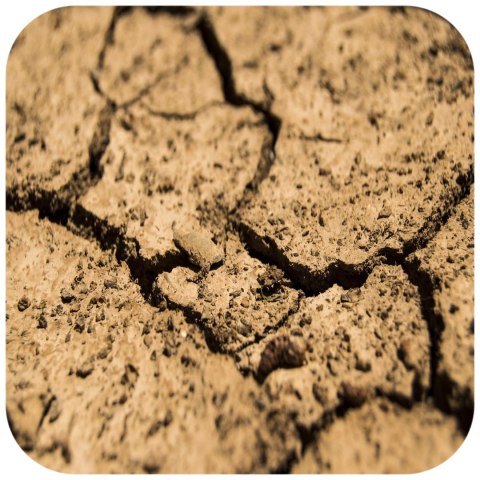 Terrario Monument Mud 1kg - mieszanka z gliną Terrario Terrario Monument Mud 1kg - mieszanka z gliną Terrario