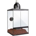Terrario Oasis Verde 10 - terrarium 30x30x45 z zestawem Terrario
