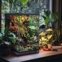 Terrario Oasis Verde 5 - terrarium 20x20x30cm Terrario