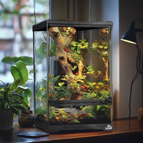 Terrario Oasis Verde 5 - terrarium 20x20x30cm Terrario Terrario Oasis Verde 5 - terrarium 20x20x30cm Terrario