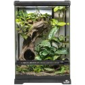 Terrario Oasis Verde 5 - terrarium 20x20x30cm Terrario
