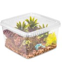 Terrario ReptiBox 19x19x12cm - przeźroczyste terrarium faunarium Terrario