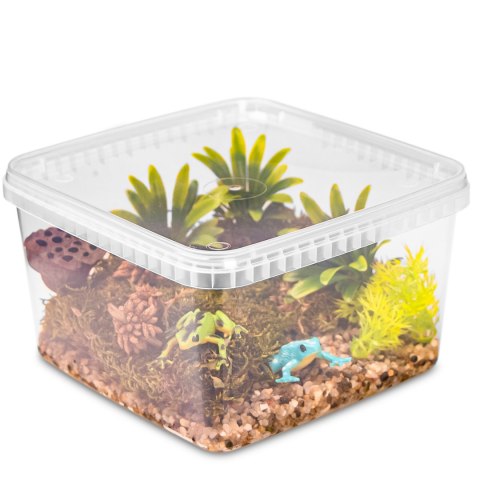 Terrario ReptiBox 19x19x12cm - przeźroczyste terrarium faunarium Terrario Terrario ReptiBox 19x19x12cm - przeźroczyste terrarium faunarium Terrario