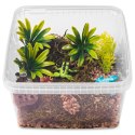 Terrario ReptiBox 19x19x12cm - przeźroczyste terrarium faunarium Terrario