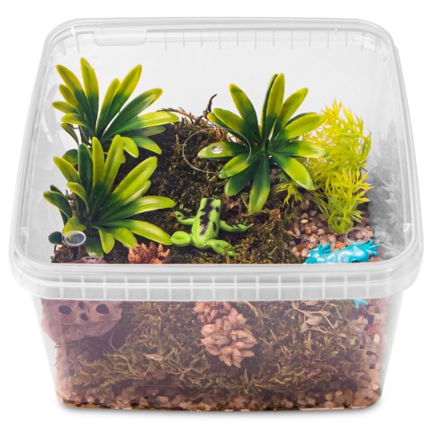 Terrario ReptiBox 19x19x12cm - przeźroczyste terrarium faunarium Terrario Terrario ReptiBox 19x19x12cm - przeźroczyste terrarium faunarium Terrario