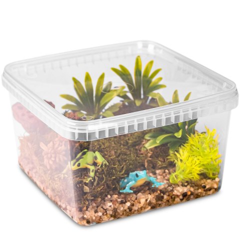 Terrario ReptiBox 19x19x12cm - przeźroczyste terrarium faunarium Terrario Terrario ReptiBox 19x19x12cm - przeźroczyste terrarium faunarium Terrario