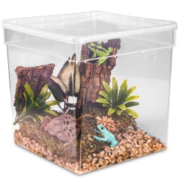 Terrario ReptiBox 19x19x19cm - przeźroczyste terrarium faunarium Terrario