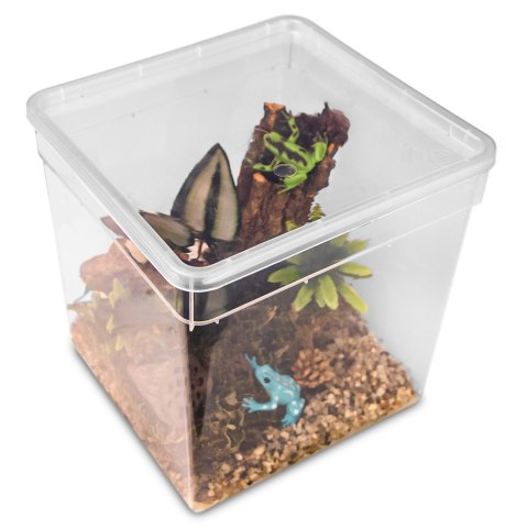 Terrario ReptiBox 19x19x19cm - przeźroczyste terrarium faunarium Terrario Terrario ReptiBox 19x19x19cm - przeźroczyste terrarium faunarium Terrario