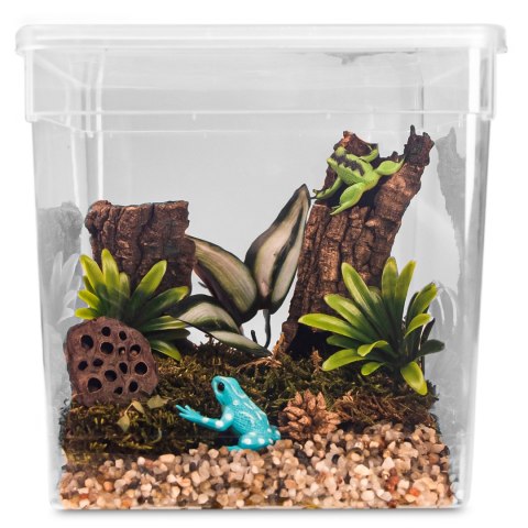 Terrario ReptiBox 19x19x19cm - przeźroczyste terrarium faunarium Terrario Terrario ReptiBox 19x19x19cm - przeźroczyste terrarium faunarium Terrario