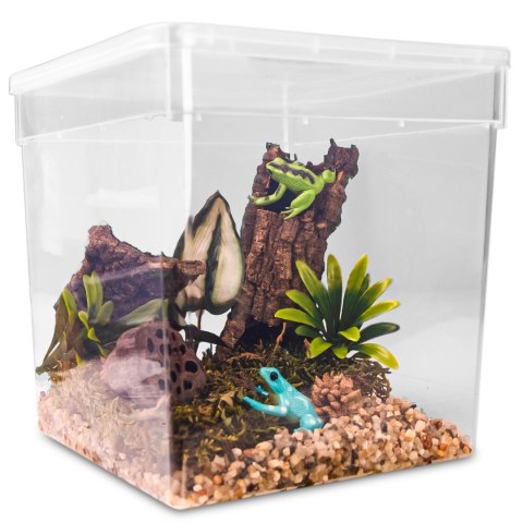Terrario ReptiBox 19x19x19cm - przeźroczyste terrarium faunarium Terrario Terrario ReptiBox 19x19x19cm - przeźroczyste terrarium faunarium Terrario