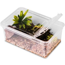 Terrario Reptiland 19x12x7,5cm - przeźroczyste terrarium faunarium Terrario