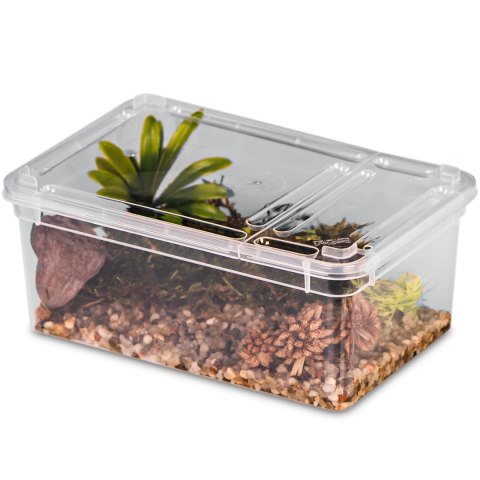 Terrario Reptiland 19x12x7,5cm - przeźroczyste terrarium faunarium Terrario Terrario Reptiland 19x12x7,5cm - przeźroczyste terrarium faunarium Terrario