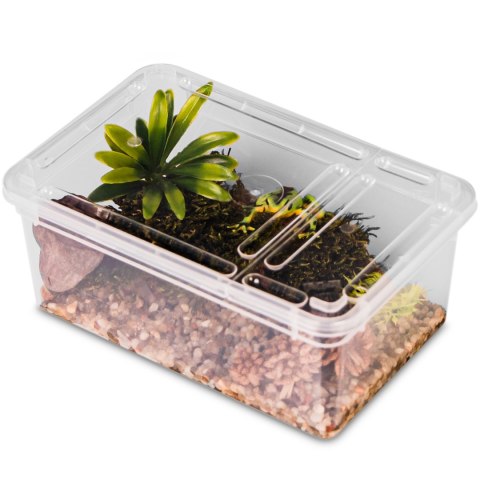 Terrario Reptiland 19x12x7,5cm - przeźroczyste terrarium faunarium Terrario Terrario Reptiland 19x12x7,5cm - przeźroczyste terrarium faunarium Terrario