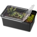 Terrario Reptiland Black 19x12x7,5cm - czarne terrarium faunarium Terrario