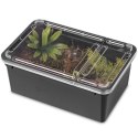 Terrario Reptiland Black 19x12x7,5cm - czarne terrarium faunarium Terrario