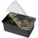 Terrario Reptiland Black 19x12x7,5cm - czarne terrarium faunarium Terrario