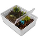 Terrario Reptiland White 25x19x7,5cm - białe terrarium faunarium Terrario
