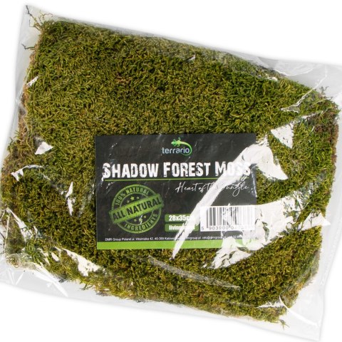 Terrario Shadow Forest Moss - mech naturalny 35x28cm Terrario