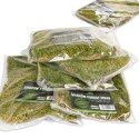 Terrario Shadow Forest Moss - mech naturalny 35x28cm Terrario