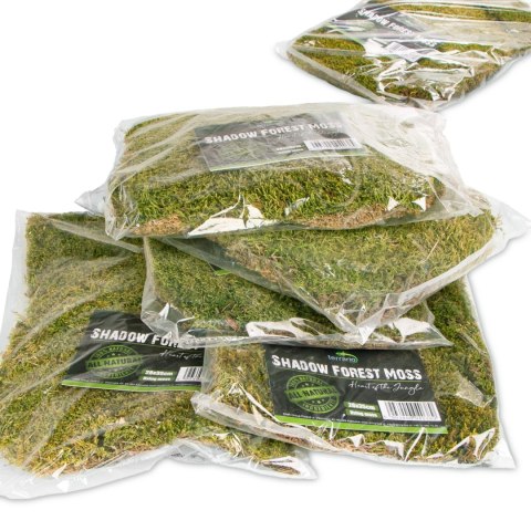 Terrario Shadow Forest Moss - mech naturalny 35x28cm Terrario Terrario Shadow Forest Moss - mech naturalny 35x28cm Terrario